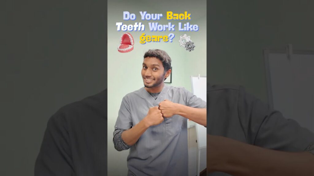 Do Your Back Teeth Work Like Gears?
