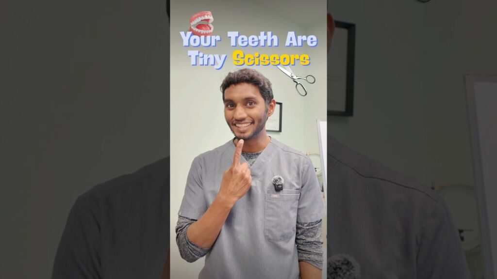 Your Teeth Are Tiny Scissors